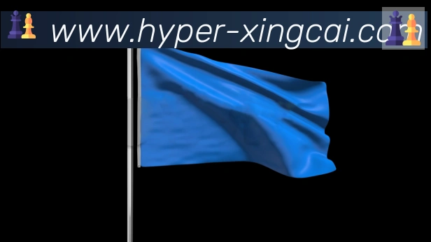 未来规划